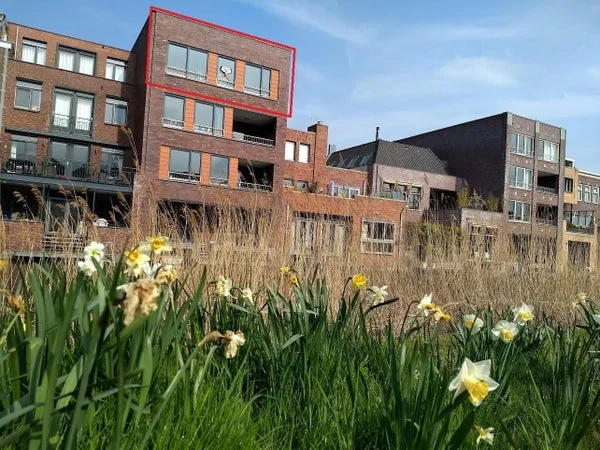 Rental property in Tornemeer 34, Woerden