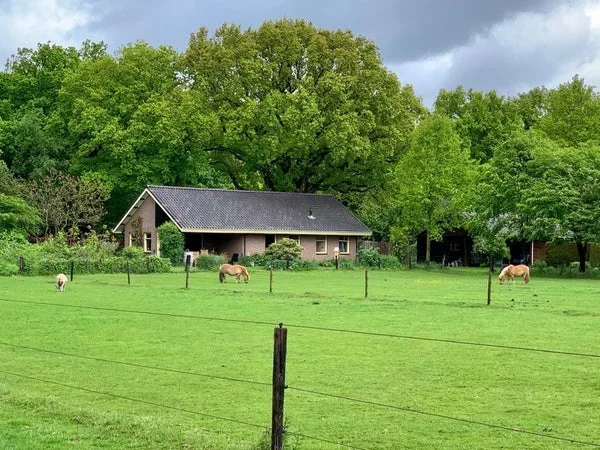 Rental property in Schuineslootweg, Schuinesloot