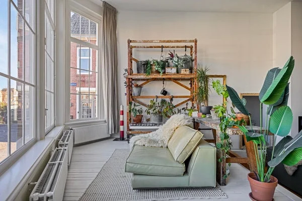 Rental property in Burgwal, Haarlem
