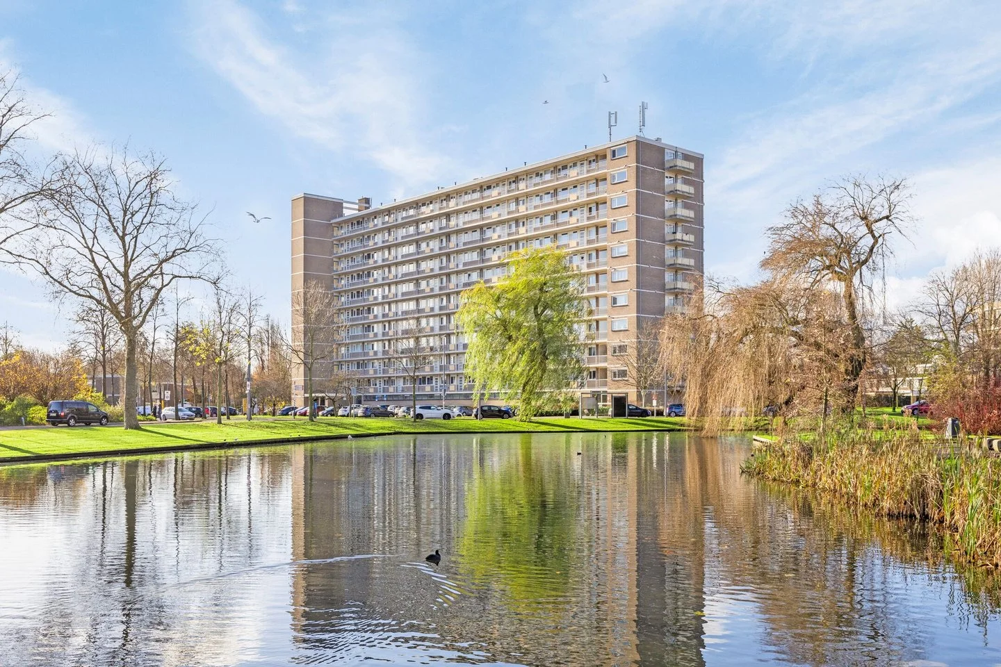Rental property in Dumasstraat 35, Rotterdam