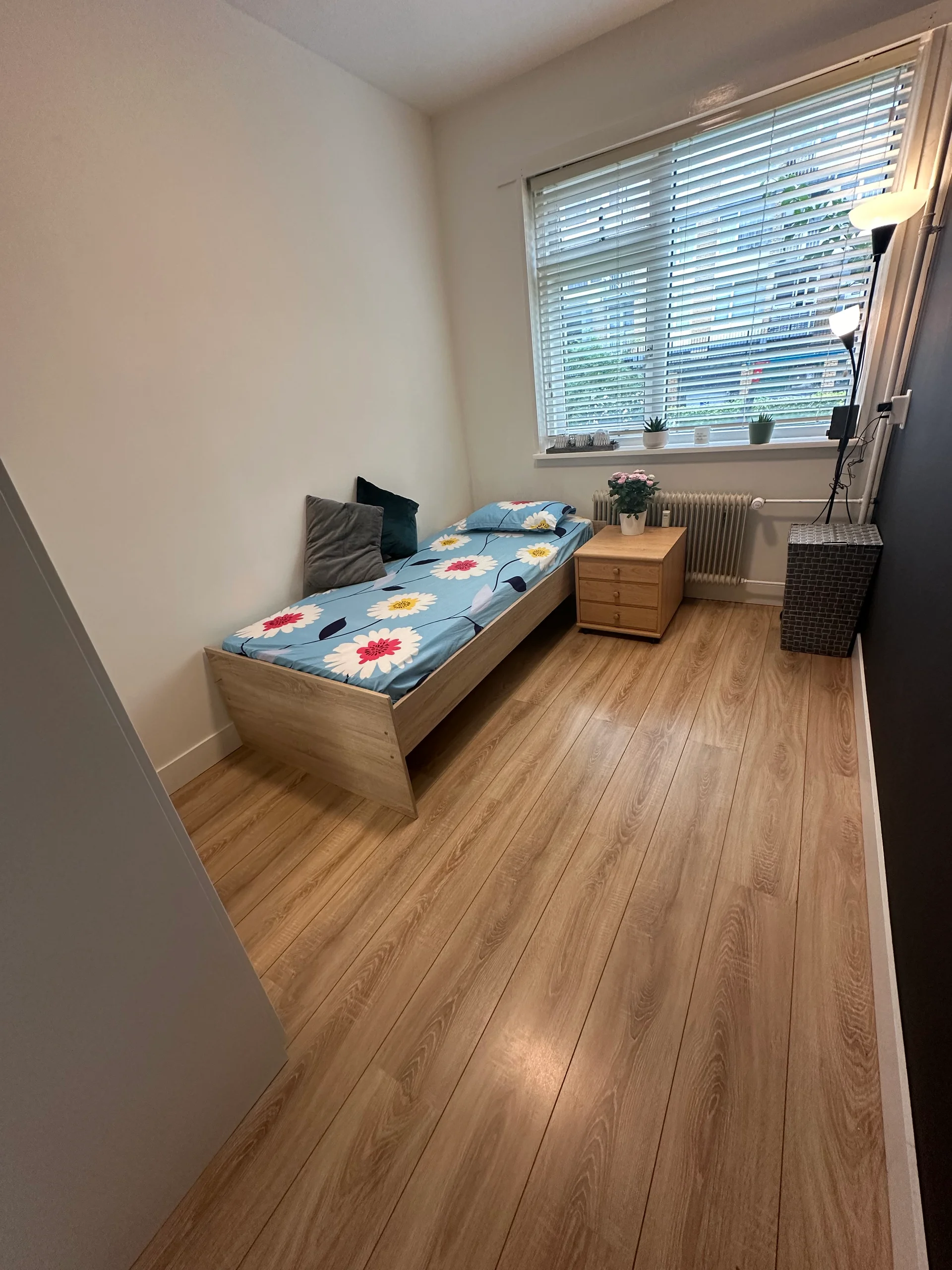 Rental property in Prinses Marijkestraat 19, Alphen aan den Rijn