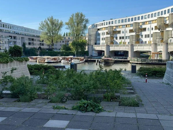 Rental property in Borneolaan, Amsterdam