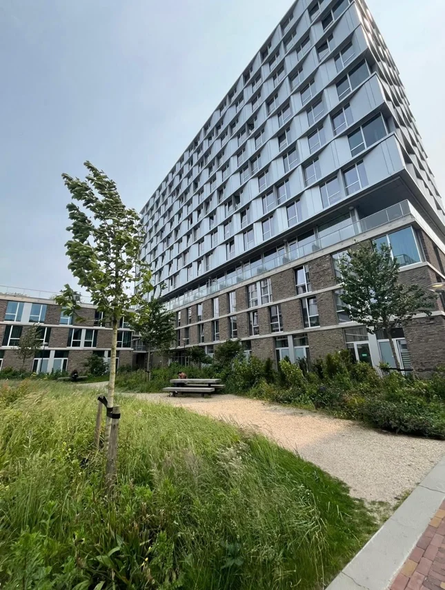 Rental property in Lise Meitnerweg 798, Leiden