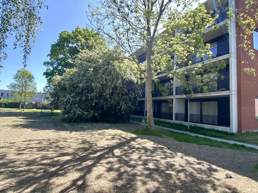 Rental property in Brandemeer, Leeuwarden