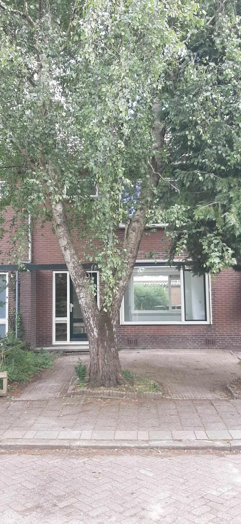 Rental property in Herderstraat 14, Jisp