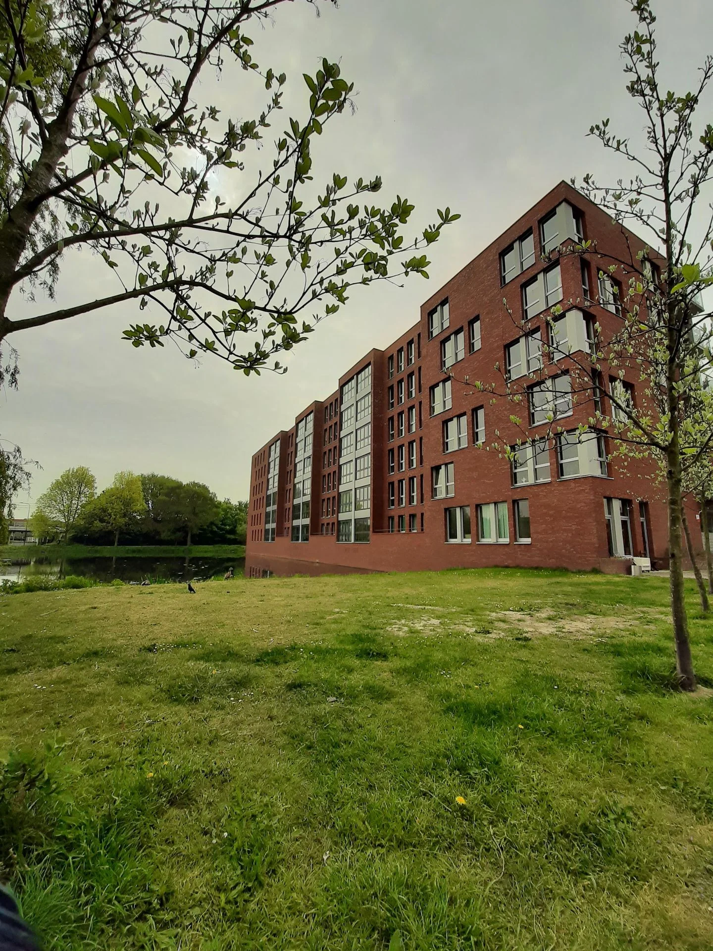 Rental property in Diamantlaan 14, Leiden