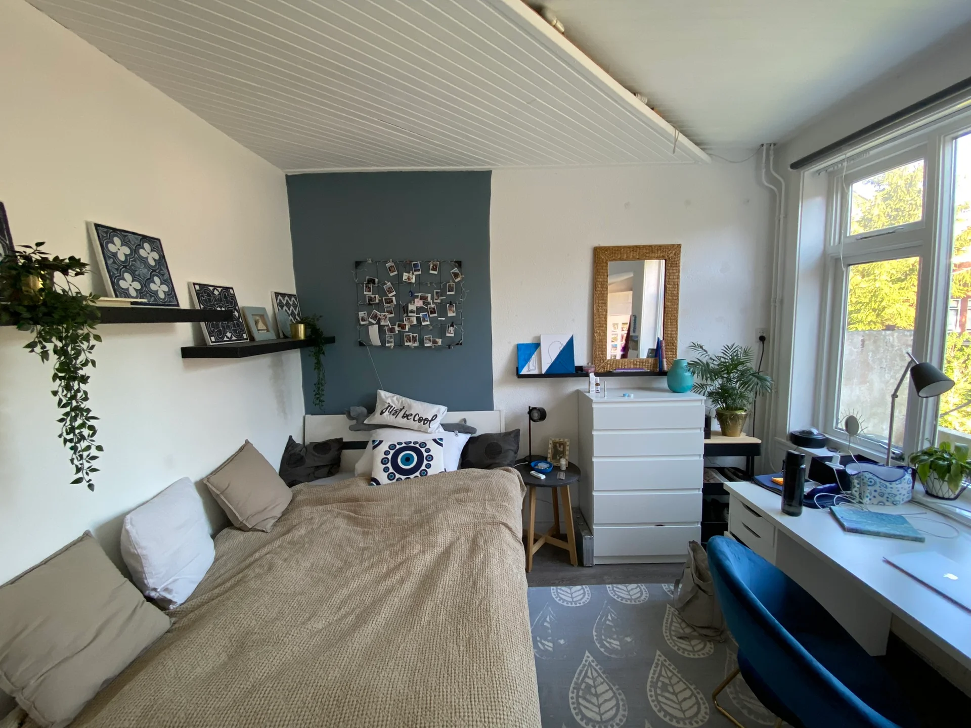 Rental property in Van der Waalsstraat 3, Groningen