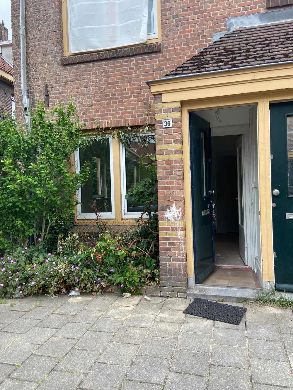 Rental property in Dovenetelstraat 36-H, Amsterdam