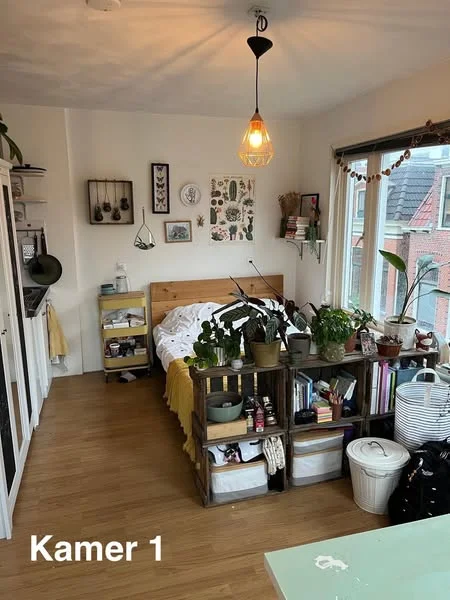 Rental property in Trompsingel, Groningen