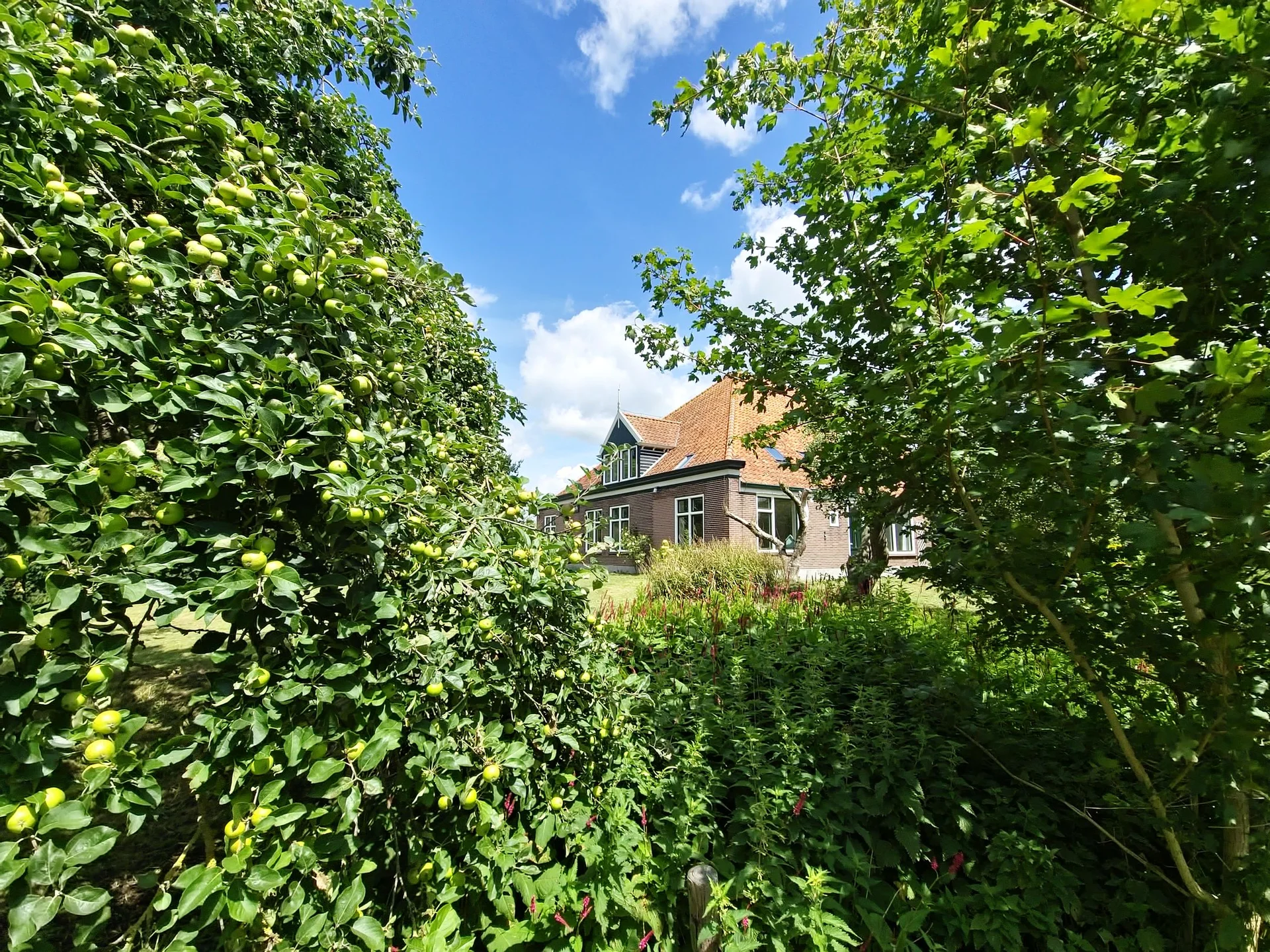 Rental property in Jisperweg 137, Westbeemster