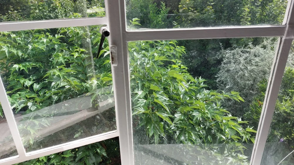 Rental property in Grundelweg, Hengelo