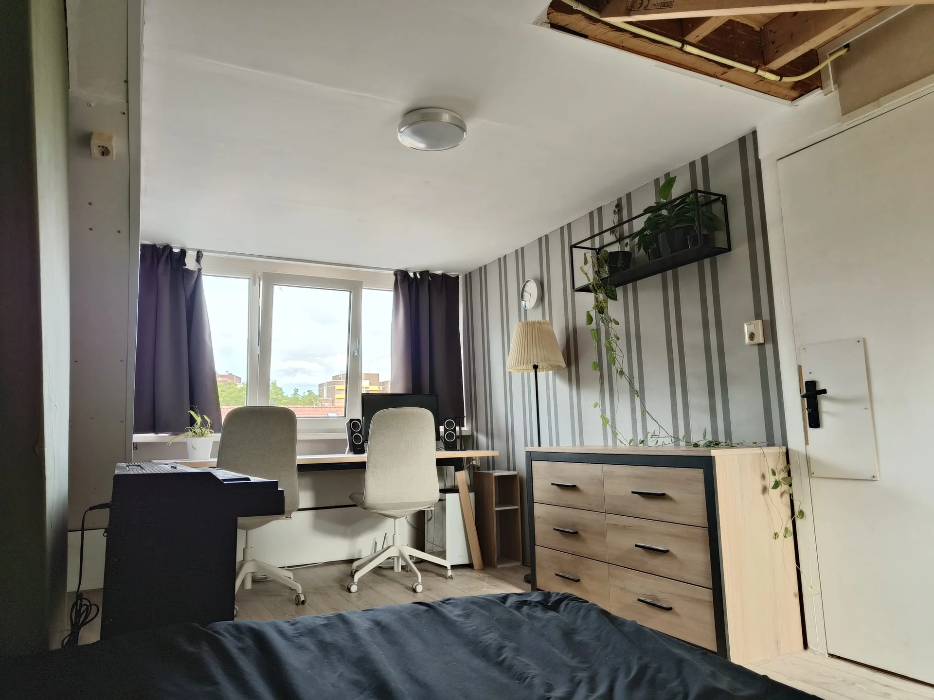 Rental property in Dasstraat, Eindhoven