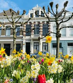 Rental property in Mauritsstraat, Breda