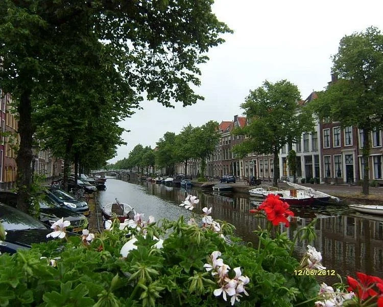 Rental property in Herengracht 6850, Leiden