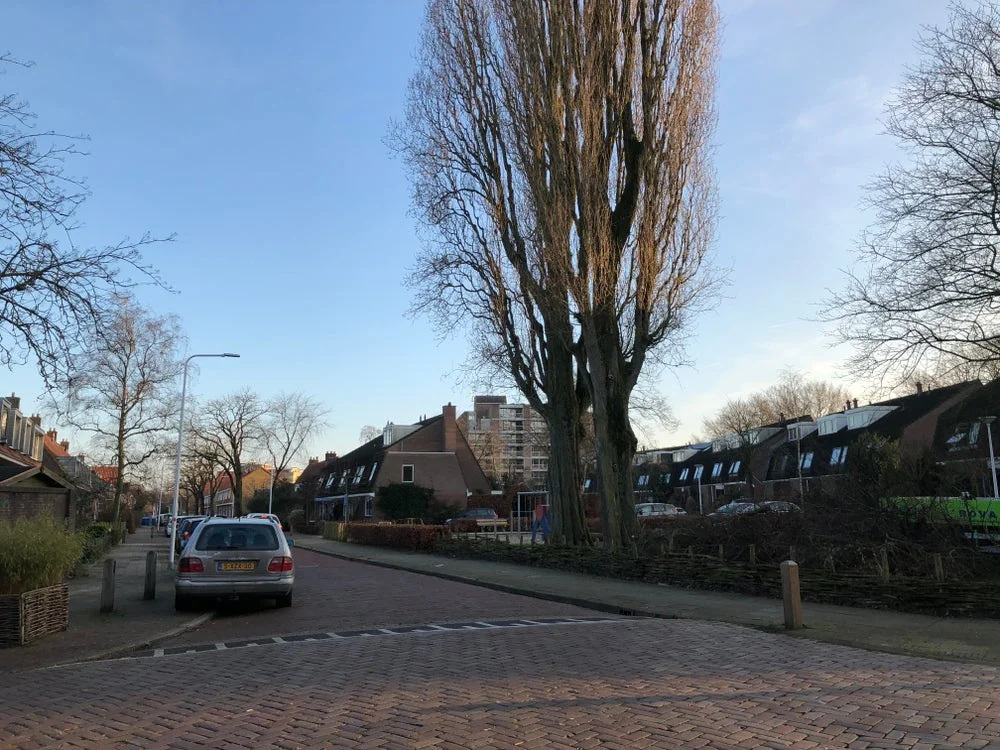 Rental property in Van Galenstraat, Zwolle