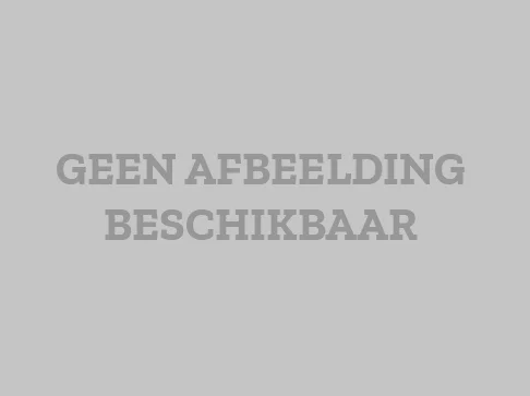 Rental property in Graaf Hendrik III laan, Breda