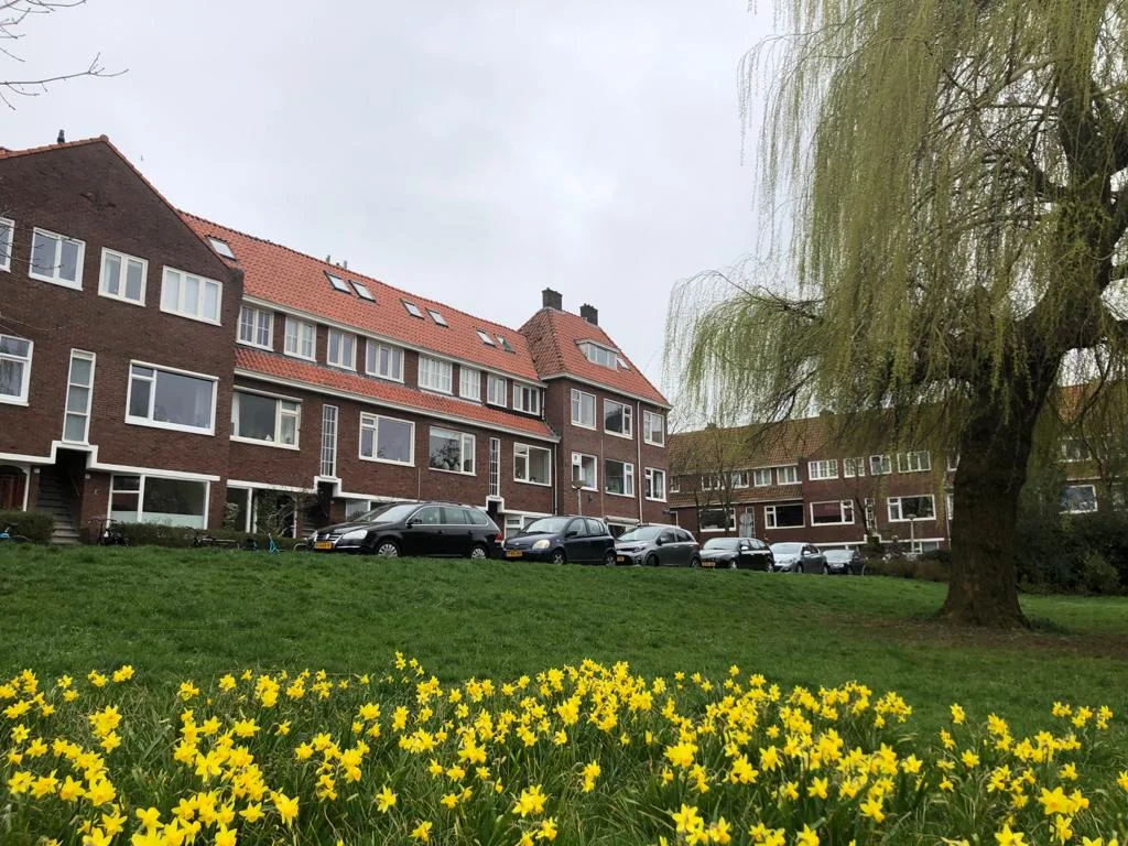 Rental property in Van Brakelplein, Groningen
