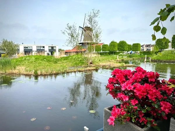 Rental property in Schoorlaan 45, Leidschendam