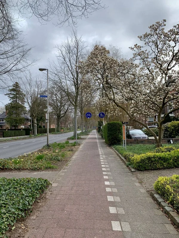 Rental property in Brediusweg, Bussum