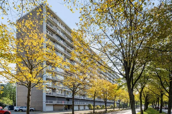Rental property in Holysingel 190, Vlaardingen