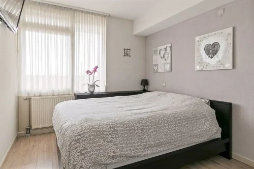 Rental property in Bergpolderplein 7A, Rotterdam