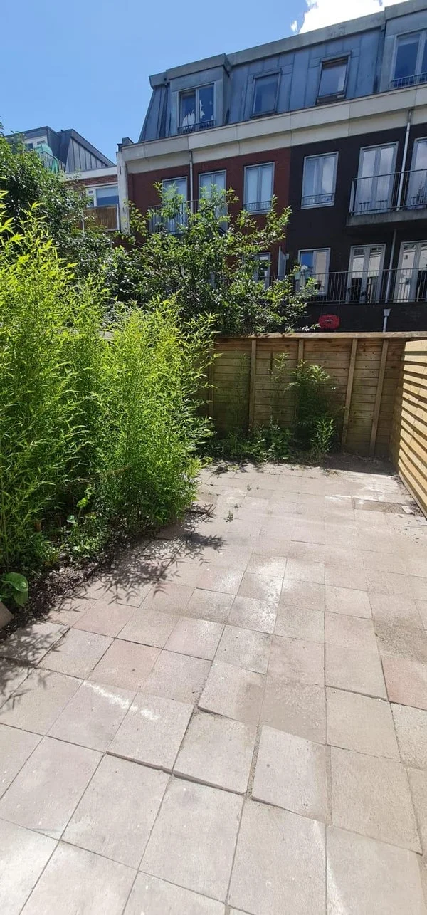 Rental property in Tolsteegsingel, Utrecht