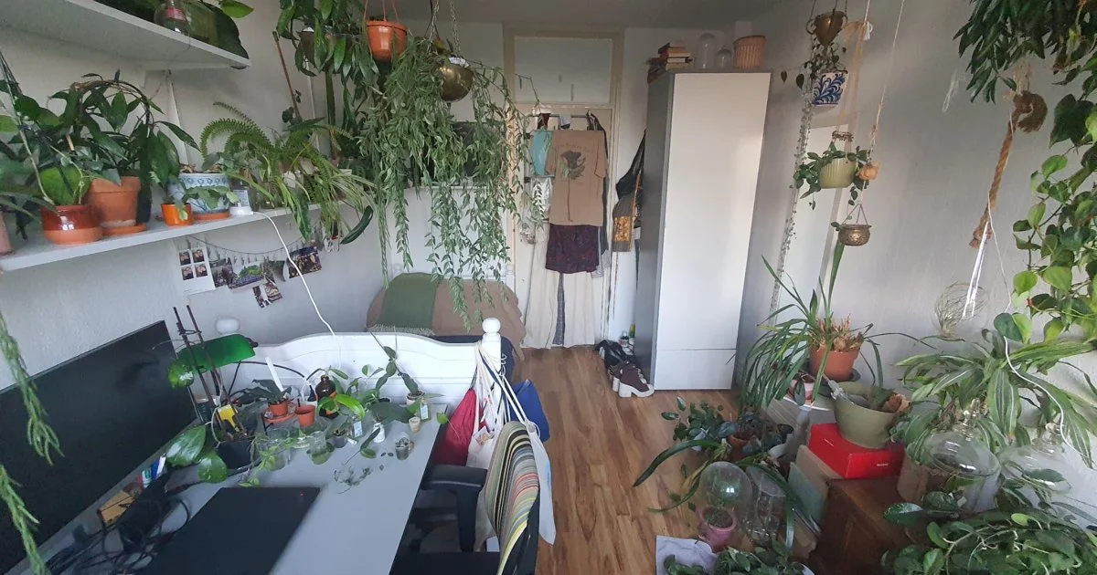 Rental property in Zweringweg 258, Enschede