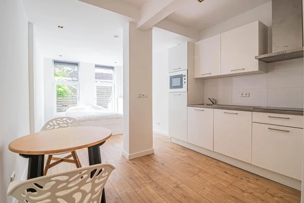 Rental property in Linnaeusstraat 384, The Hague