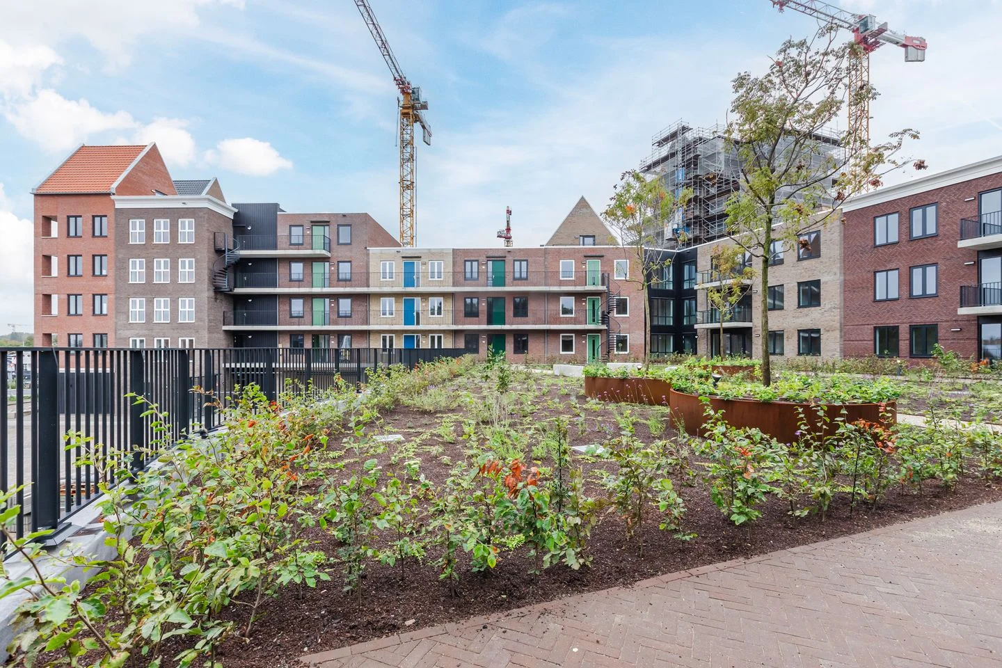 Rental property in De Houthaalder 38, Zaandam