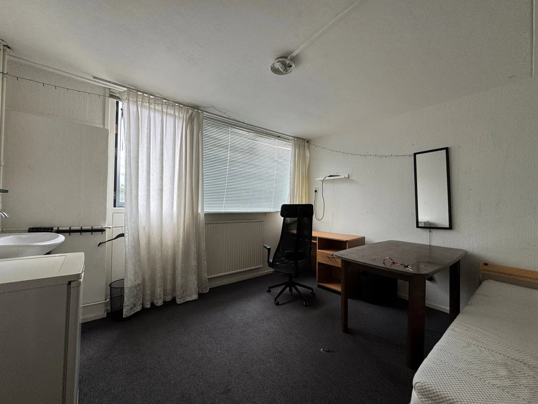 Rental property in Briljantstraat 3, Groningen