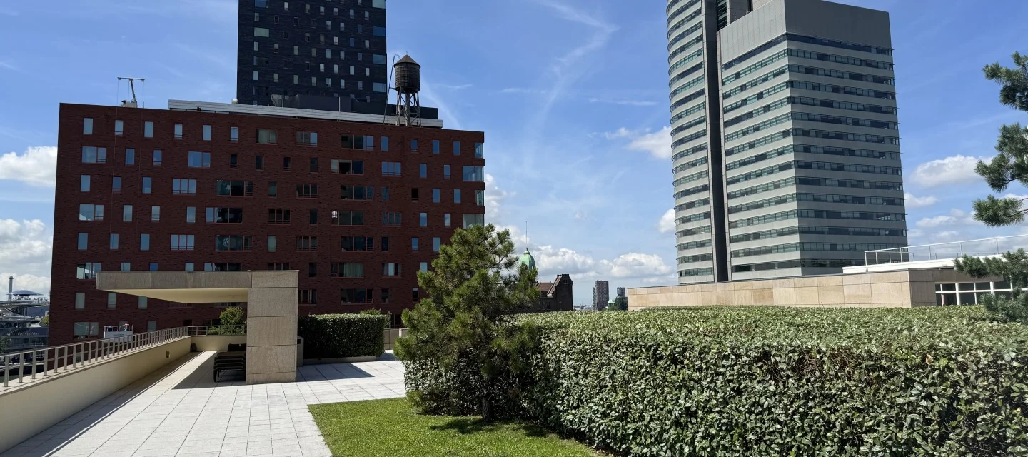 Rental property in Oostzeedijk Beneden 193B, Rotterdam