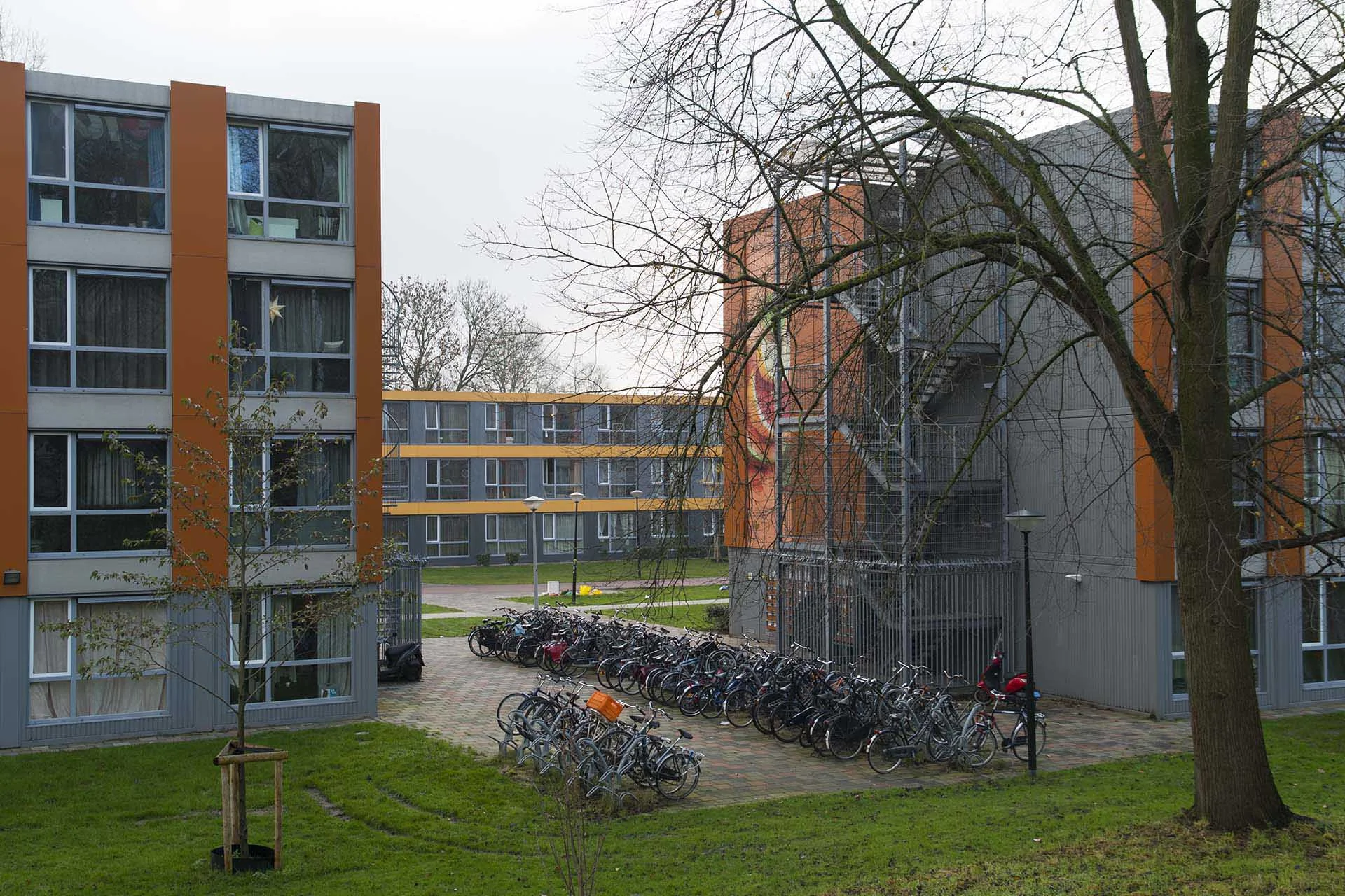 Rental property in Dennenrodepad 1131, Amsterdam