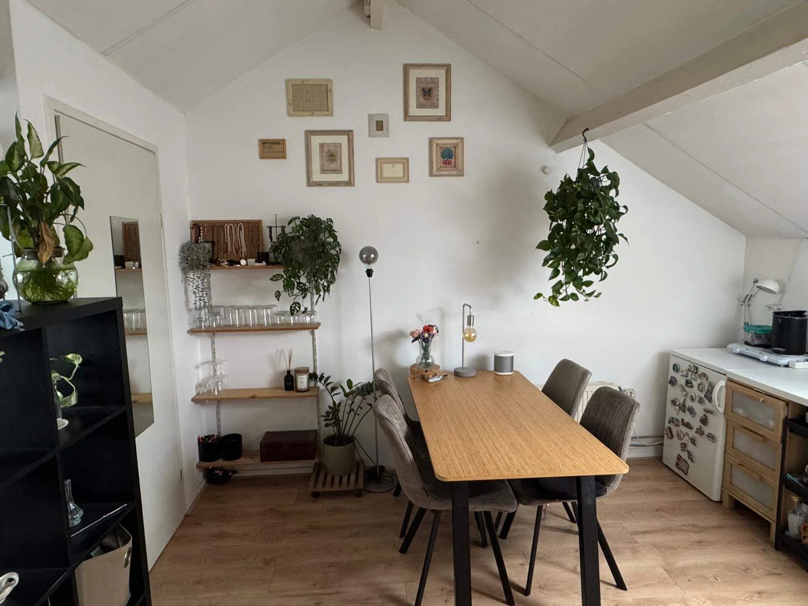 Rental property in Bloemenweg, Maastricht