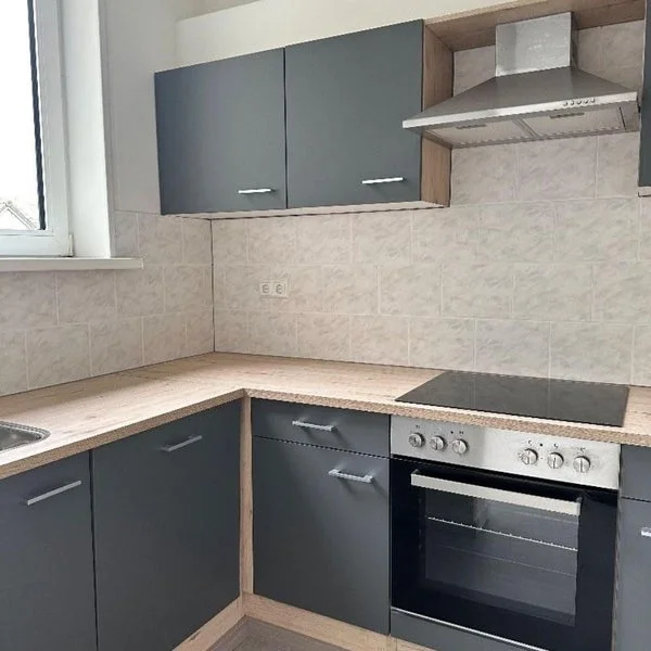 Rental property in Professor Kamerlingh Onneslaan, Schiedam