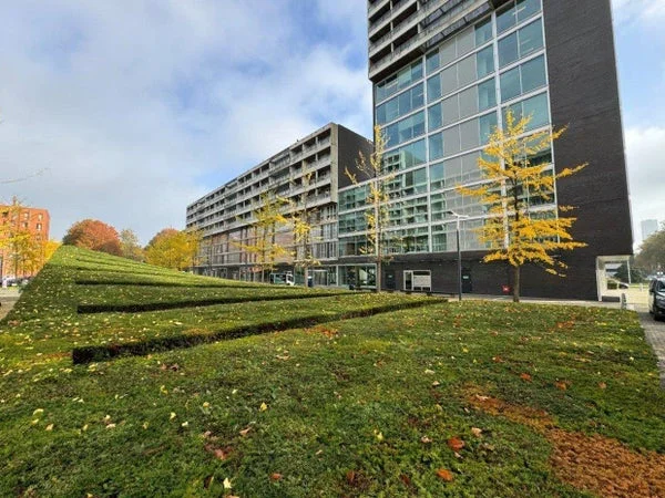 Rental property in Professor de Moorplein, Tilburg