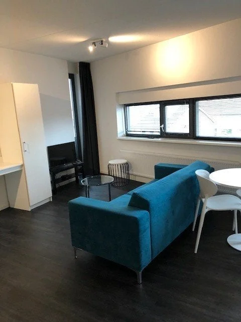 Rental property in Lupinestraat, Eindhoven