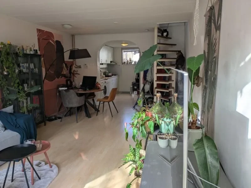 Rental property in Gedempte Nieuwesloot, Alkmaar