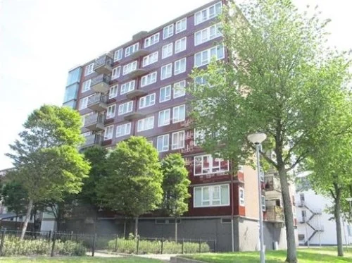 Rental property in Baloeranstraat, Rotterdam