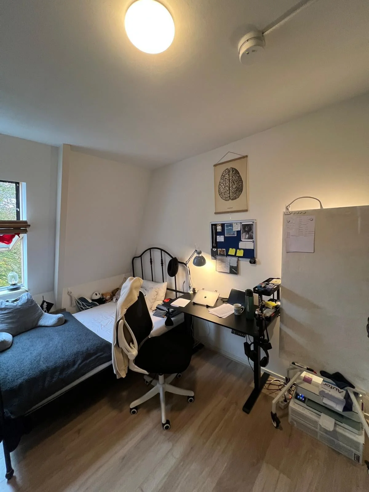 Rental property in Helper Westsingel, Groningen