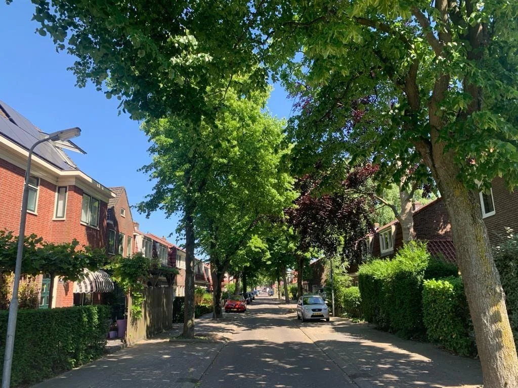 Rental property in Hyacintstraat 6, Koog aan de Zaan