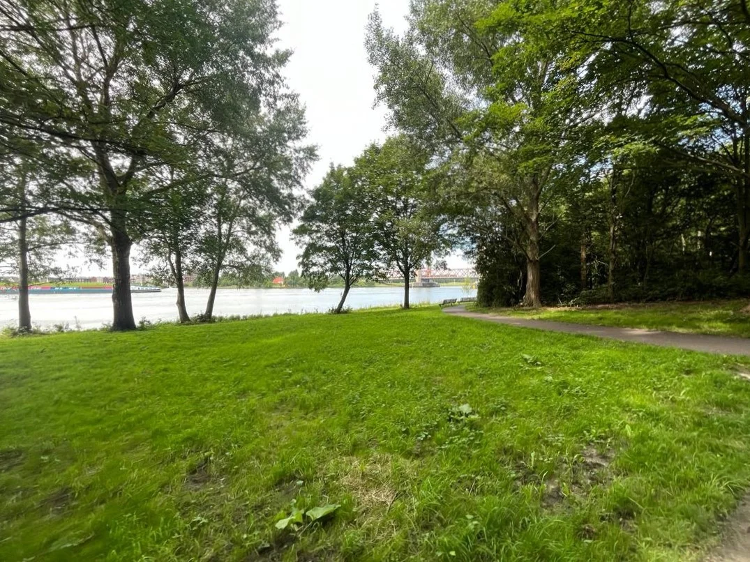 Rental property in Goede Verwachtinghof, Hoogvliet