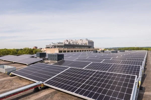 Rental property in Groningensingel, Arnhem