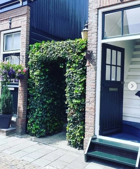 Rental property in 1e Harenmakersdwarsstraat, Zaandam