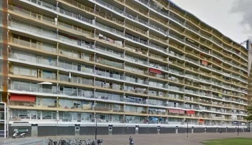 Rental property in Pharus, Zaandam