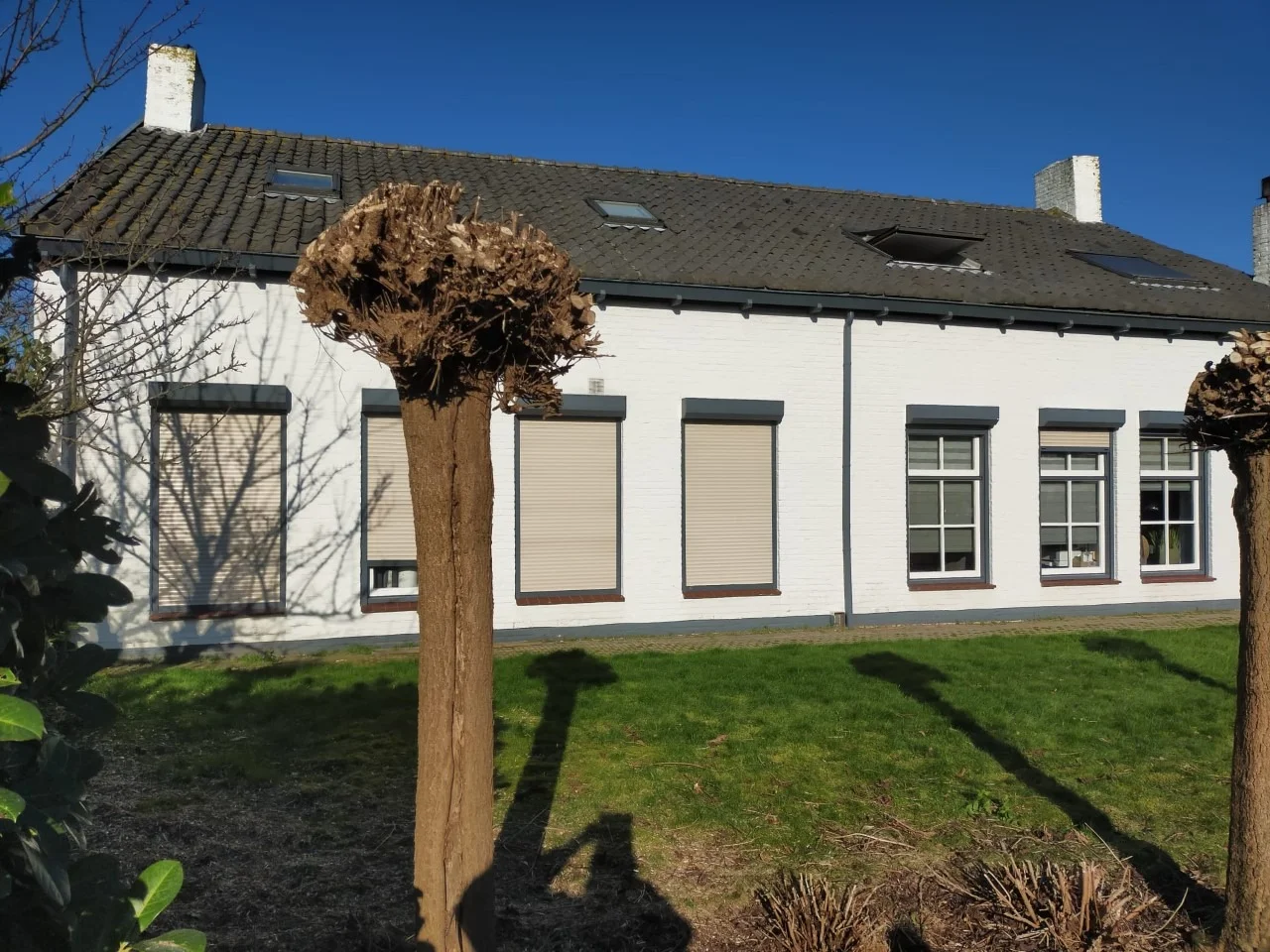 Rental property in van Maelstedestraat, 's-Heer Hendrikskinderen