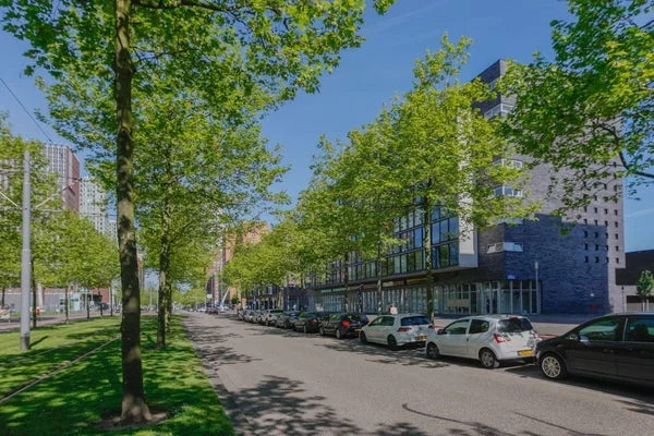 Rental property in Laan op Zuid, Rotterdam