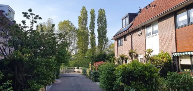 Rental property in Joke Smitstraat, Bergen