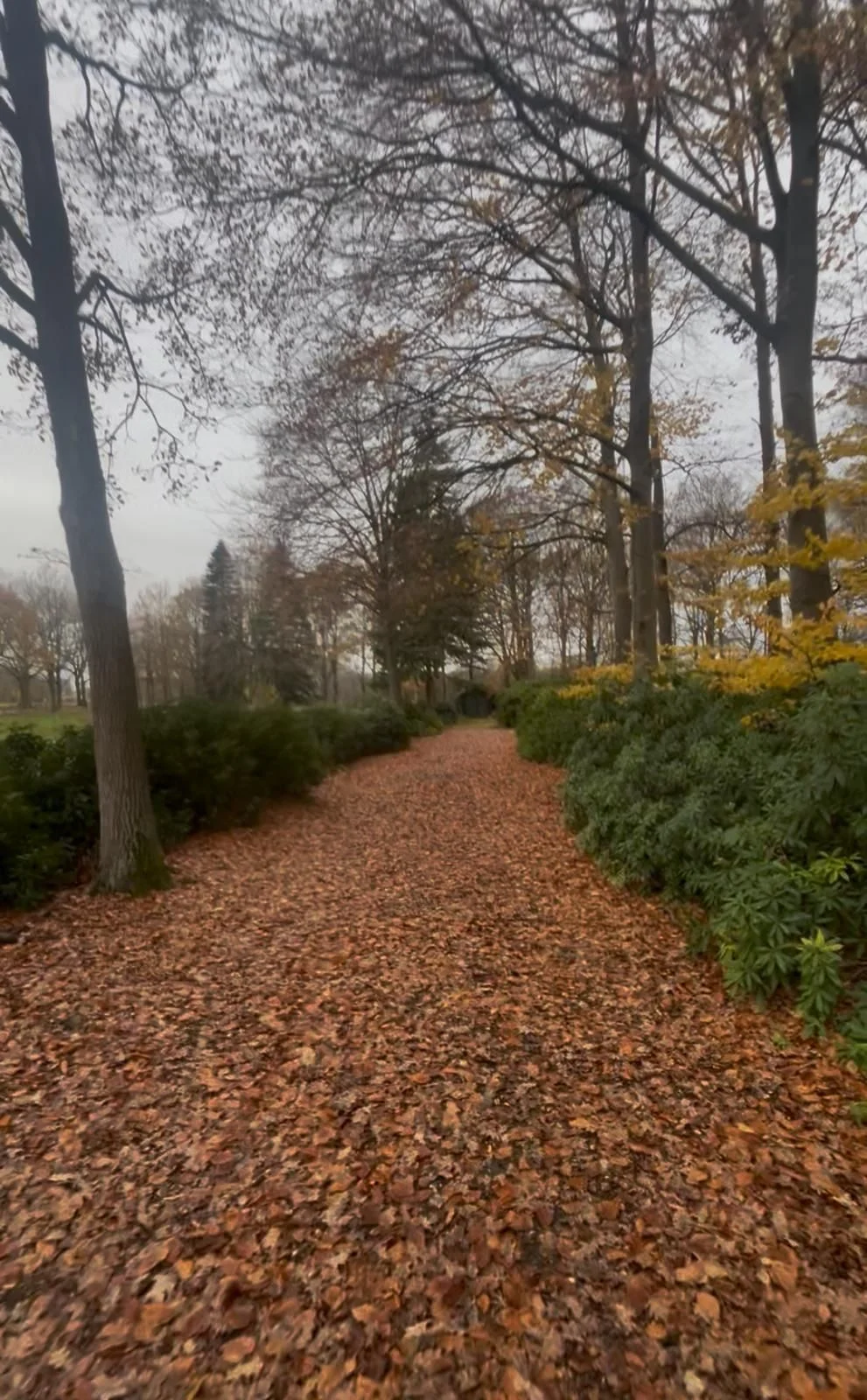 Rental property in Zundert