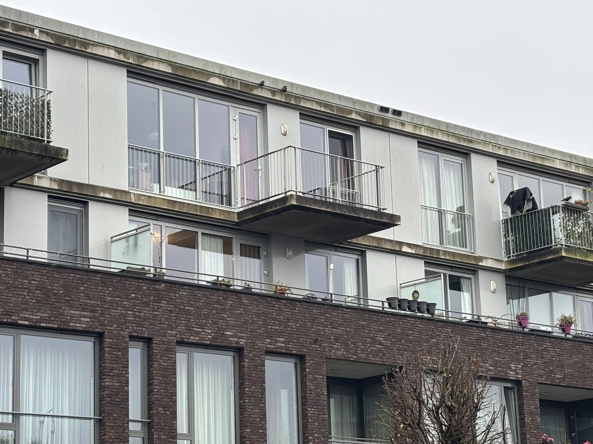 Rental property in Molenstraat 217, Vught