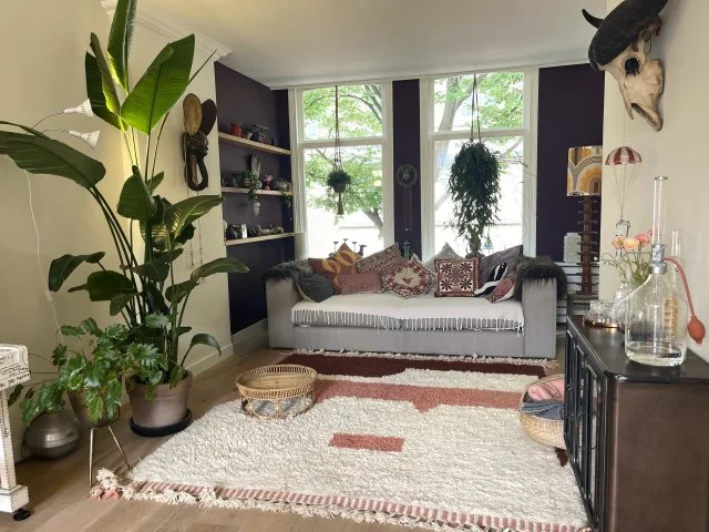 Rental property in Helmersstraat, The Hague